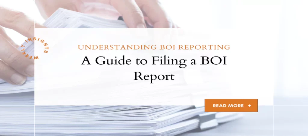 Understanding BOI Reporting