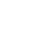 vision-icon